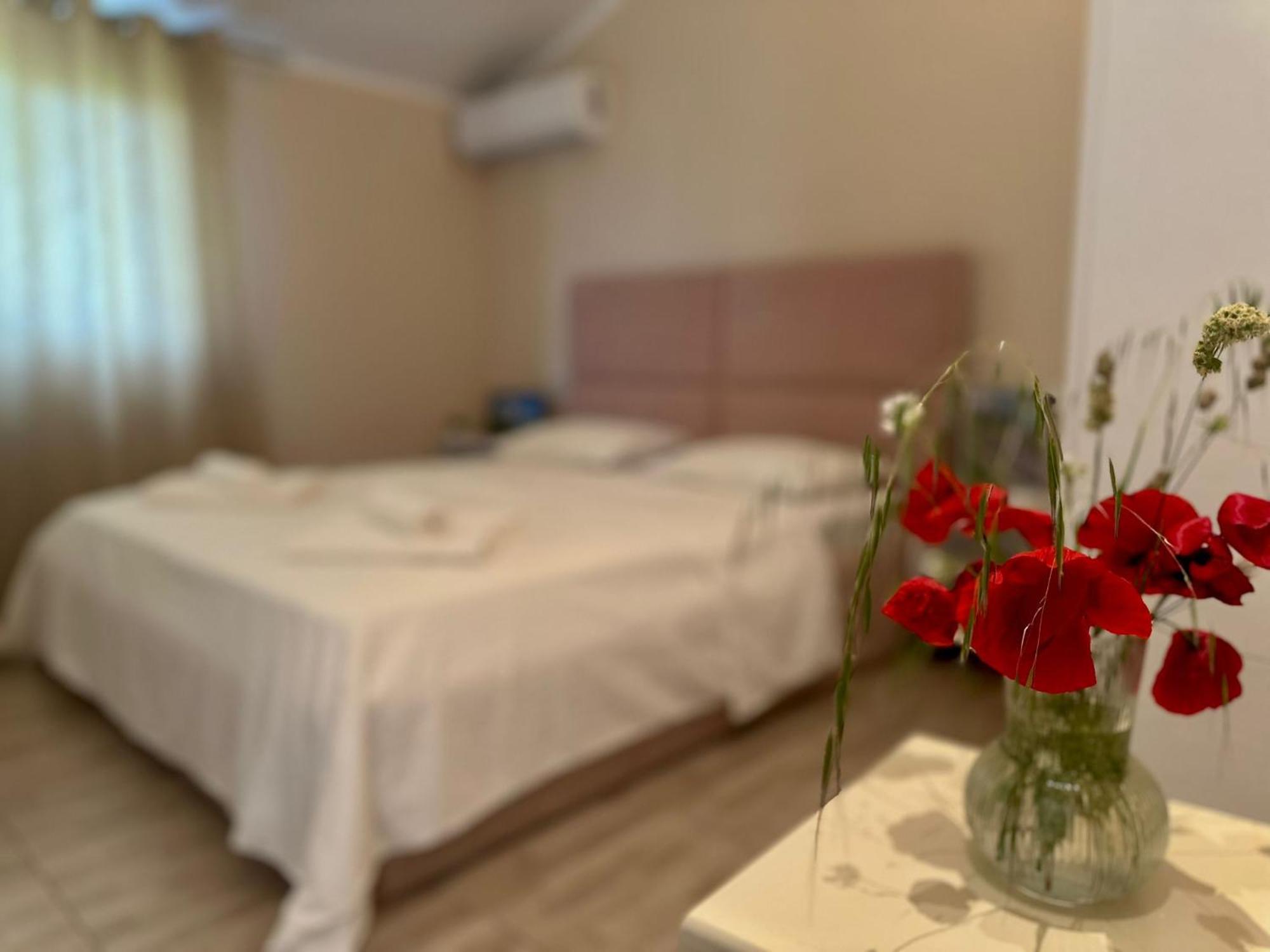 Hotel Villa Ballkan Grilë Buitenkant foto